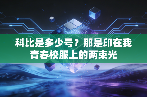 科比是多少号？那是印在我青春校服上的两束光