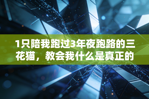 1只陪我跑过3年夜跑路的三花猫，教会我什么是真正的体育精神