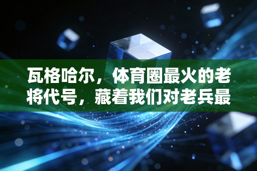 瓦格哈尔,体育圈最火的老将代号,藏着我们对老兵最浪漫的敬意 瓦格哈尔,体育圈最火的老将代号,藏着我们对老兵最浪漫的敬意