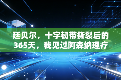 廷贝尔，十字韧带撕裂后的365天，我见过阿森纳理疗室凌晨3点的灯光