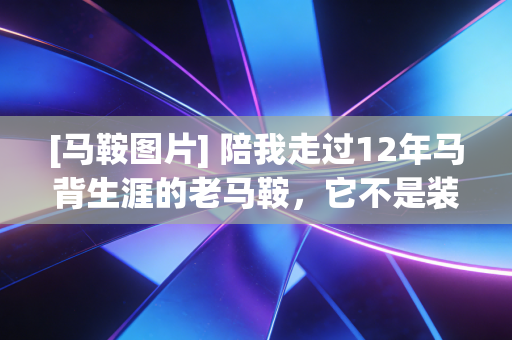 [马鞍图片] 陪我走过12年马背生涯的老马鞍，它不是装备，是我半拉战友