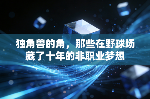 独角兽的角,那些在野球场藏了十年的非职业梦想 独角兽的角,那些在野球场藏了十年的非职业梦想