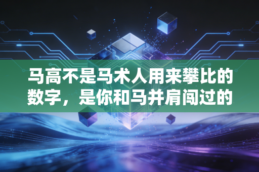马高不是马术人用来攀比的数字，是你和马并肩闯过的每一道坎