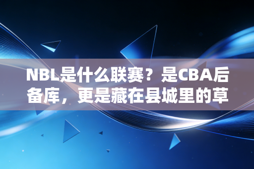NBL是什么联赛？是CBA后备库，更是藏在县城里的草根篮球乌托邦