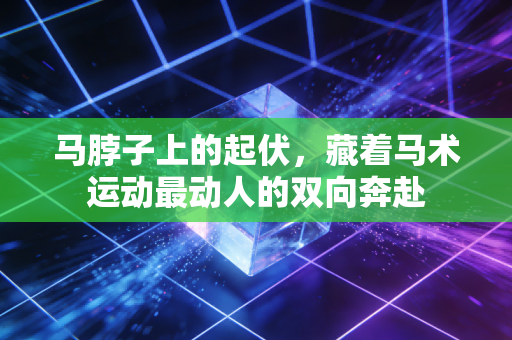 马脖子上的起伏,藏着马术运动最动人的双向奔赴 马脖子上的起伏,藏着马术运动最动人的双向奔赴