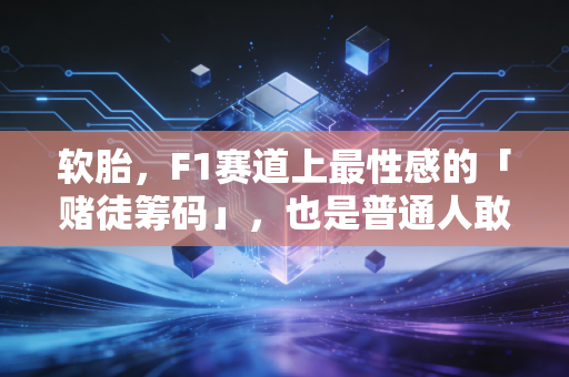 软胎,F1赛道上最性感的「赌徒筹码」,也是普通人敢拼敢赢的生活注脚 软胎,F1赛道上最性感的「赌徒筹码」,也是普通人敢拼敢赢的生活注脚