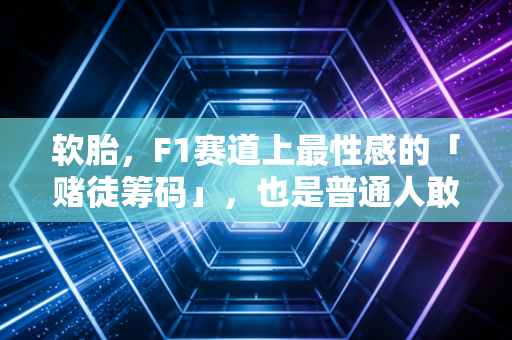 软胎,F1赛道上最性感的「赌徒筹码」,也是普通人敢拼敢赢的生活注脚 软胎,F1赛道上最性感的「赌徒筹码」,也是普通人敢拼敢赢的生活注脚