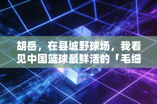胡岳,在县城野球场,我看见中国篮球最鲜活的「毛细血管」 胡岳,在县城野球场,我看见中国篮球最鲜活的「毛细血管」