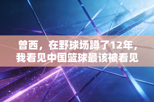曾西,在野球场蹲了12年,我看见中国篮球最该被看见的角落 曾西,在野球场蹲了12年,我看见中国篮球最该被看见的角落