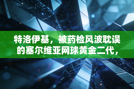 特洛伊基,被药检风波耽误的塞尔维亚网球黄金二代,永远是德约背后最靠谱的兄弟 特洛伊基,被药检风波耽误的塞尔维亚网球黄金二代,永远是德约背后最靠谱的兄弟