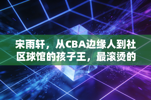 宋雨轩,从CBA边缘人到社区球馆的孩子王,最滚烫的篮球梦从来不在聚光灯下 宋雨轩,从CBA边缘人到社区球馆的孩子王,最滚烫的篮球梦从来不在聚光灯下