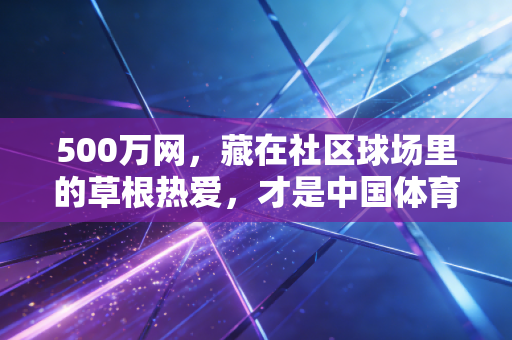 500万网,藏在社区球场里的草根热爱,才是中国体育最该被看见的底色 500万网,藏在社区球场里的草根热爱,才是中国体育最该被看见的底色