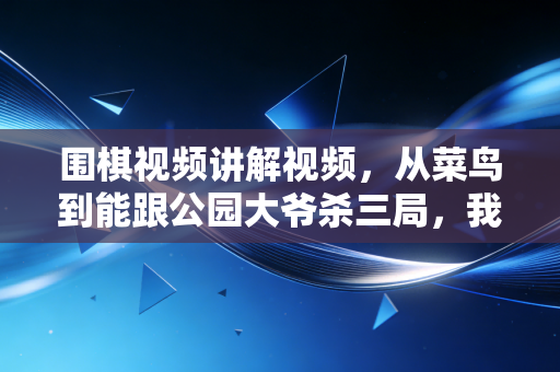 围棋视频讲解视频,从菜鸟到能跟公园大爷杀三局,我靠这堆免费资源捅破了围棋的精英滤镜 围棋视频讲解视频,从菜鸟到能跟公园大爷杀三局,我靠这堆免费资源捅破了围棋的精英滤镜