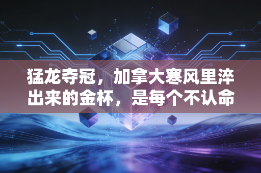 猛龙夺冠,加拿大寒风里淬出来的金杯,是每个不认命普通人的人生剧本 猛龙夺冠,加拿大寒风里淬出来的金杯,是每个不认命普通人的人生剧本