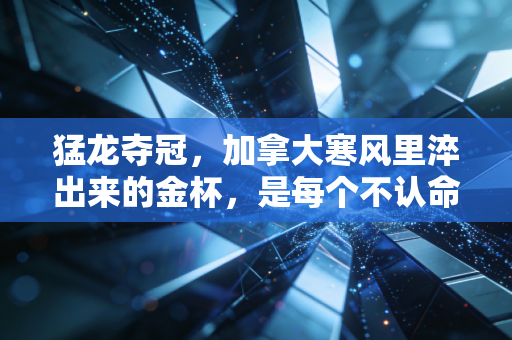猛龙夺冠,加拿大寒风里淬出来的金杯,是每个不认命普通人的人生剧本 猛龙夺冠,加拿大寒风里淬出来的金杯,是每个不认命普通人的人生剧本