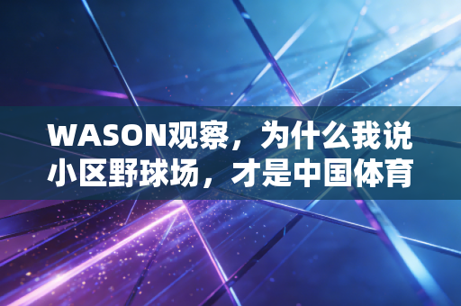 WASON观察,为什么我说小区野球场,才是中国体育最该被看见的底色 WASON观察,为什么我说小区野球场,才是中国体育最该被看见的底色