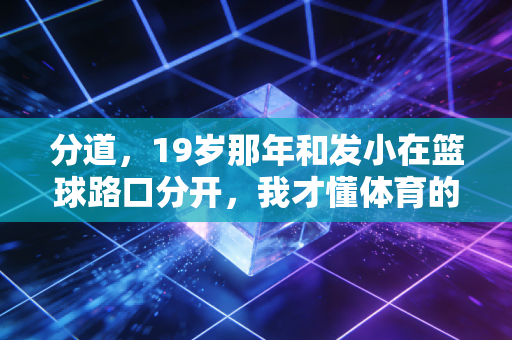 分道,19岁那年和发小在篮球路口分开,我才懂体育的路从来不是单行道 分道,19岁那年和发小在篮球路口分开,我才懂体育的路从来不是单行道