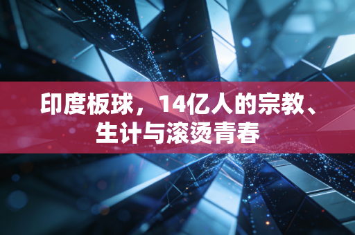 印度板球,14亿人的宗教、生计与滚烫青春 印度板球,14亿人的宗教、生计与滚烫青春