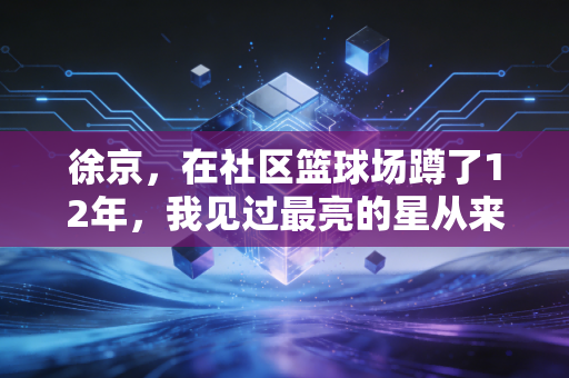 徐京,在社区篮球场蹲了12年,我见过最亮的星从来不在CBA赛场 徐京,在社区篮球场蹲了12年,我见过最亮的星从来不在CBA赛场