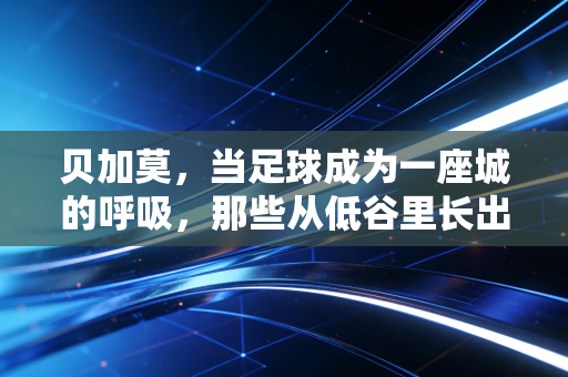 贝加莫,当足球成为一座城的呼吸,那些从低谷里长出来的热爱最动人 贝加莫,当足球成为一座城的呼吸,那些从低谷里长出来的热爱最动人