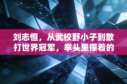 刘志恒,从武校野小子到散打世界冠军,拳头里攥着的从来不是输赢 刘志恒,从武校野小子到散打世界冠军,拳头里攥着的从来不是输赢