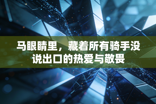 马眼睛里,藏着所有骑手没说出口的热爱与敬畏 马眼睛里,藏着所有骑手没说出口的热爱与敬畏