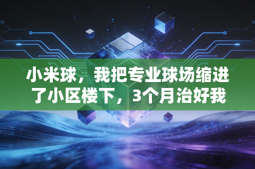 小米球,我把专业球场缩进了小区楼下,3个月治好我的运动拖延症 小米球,我把专业球场缩进了小区楼下,3个月治好我的运动拖延症