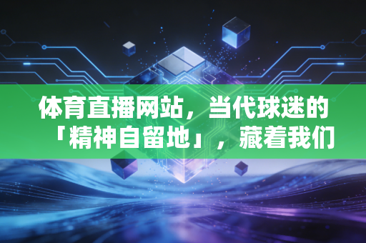 体育直播网站，当代球迷的「精神自留地」，藏着我们一整个青春的热血与遗憾