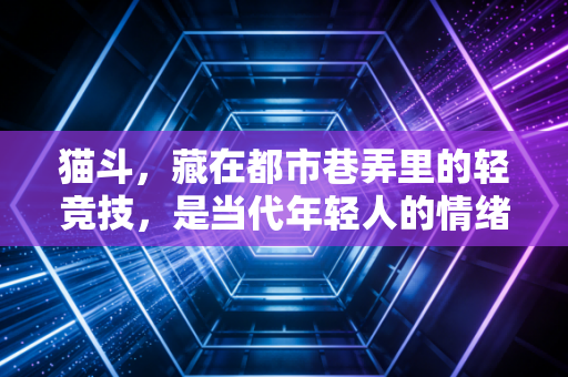 猫斗，藏在都市巷弄里的轻竞技，是当代年轻人的情绪泄压阀