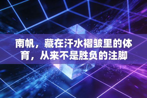南帆,藏在汗水褶皱里的体育,从来不是胜负的注脚 南帆,藏在汗水褶皱里的体育,从来不是胜负的注脚