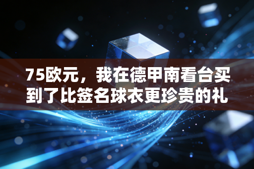 75欧元，我在德甲南看台买到了比签名球衣更珍贵的礼物