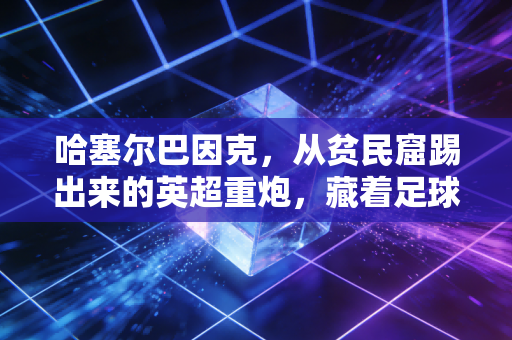 哈塞尔巴因克,从贫民窟踢出来的英超重炮,藏着足球最本真的烟火气 哈塞尔巴因克,从贫民窟踢出来的英超重炮,藏着足球最本真的烟火气