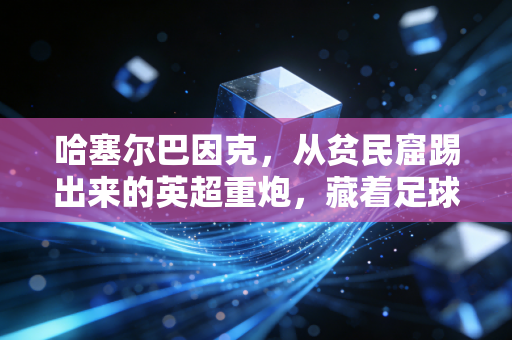 哈塞尔巴因克,从贫民窟踢出来的英超重炮,藏着足球最本真的烟火气 哈塞尔巴因克,从贫民窟踢出来的英超重炮,藏着足球最本真的烟火气