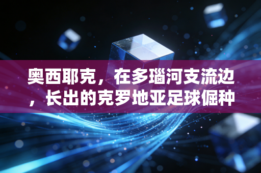 奥西耶克,在多瑙河支流边,长出的克罗地亚足球倔种 奥西耶克,在多瑙河支流边,长出的克罗地亚足球倔种