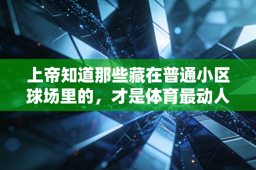 上帝知道那些藏在普通小区球场里的,才是体育最动人的模样 上帝知道那些藏在普通小区球场里的,才是体育最动人的模样