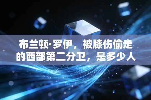 布兰顿·罗伊，被膝伤偷走的西部第二分卫，是多少人青春里的意难平