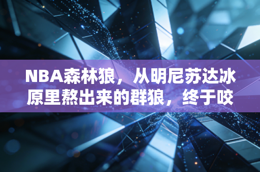 NBA森林狼,从明尼苏达冰原里熬出来的群狼,终于咬碎了哈士奇的嘲讽 NBA森林狼,从明尼苏达冰原里熬出来的群狼,终于咬碎了哈士奇的嘲讽