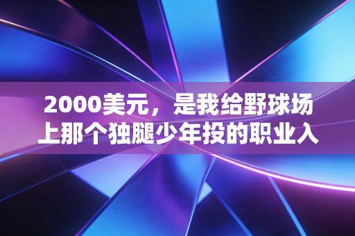2000美元，是我给野球场上那个独腿少年投的职业入场券