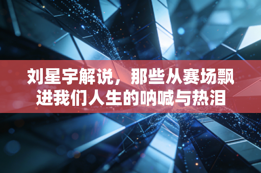 刘星宇解说，那些从赛场飘进我们人生的呐喊与热泪