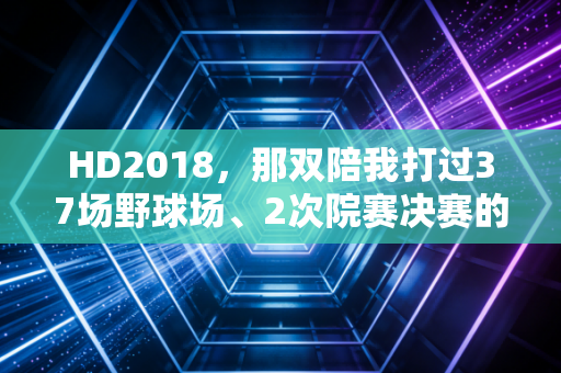 HD2018，那双陪我打过37场野球场、2次院赛决赛的「实战神鞋」，为什么现在还没人能替代？