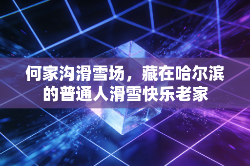 何家沟滑雪场，藏在哈尔滨的普通人滑雪快乐老家