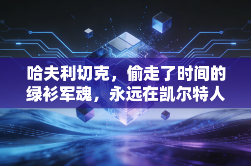 哈夫利切克，偷走了时间的绿衫军魂，永远在凯尔特人的篮筐下奔跑