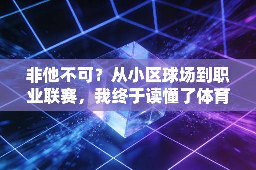 非他不可?从小区球场到职业联赛,我终于读懂了体育里的执念与破局 非他不可?从小区球场到职业联赛,我终于读懂了体育里的执念与破局