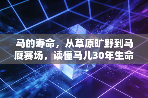 马的寿命,从草原旷野到马厩赛场,读懂马儿30年生命里的那些冷暖故事 马的寿命,从草原旷野到马厩赛场,读懂马儿30年生命里的那些冷暖故事