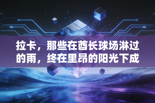 拉卡,那些在酋长球场淋过的雨,终在里昂的阳光下成了勋章 拉卡,那些在酋长球场淋过的雨,终在里昂的阳光下成了勋章