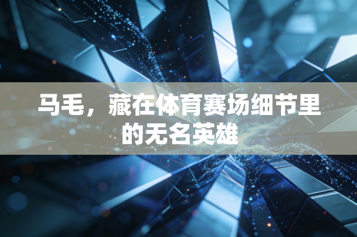 马毛，藏在体育赛场细节里的无名英雄