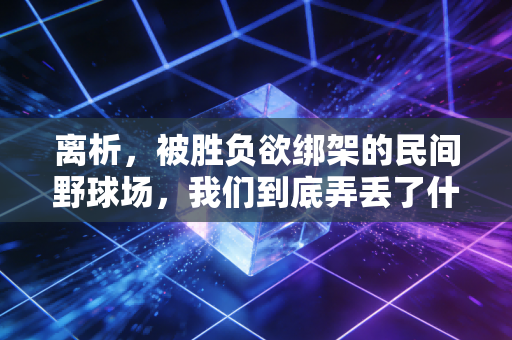 离析，被胜负欲绑架的民间野球场，我们到底弄丢了什么？