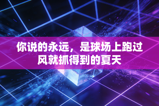 你说的永远,是球场上跑过风就抓得到的夏天 你说的永远,是球场上跑过风就抓得到的夏天