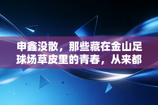 申鑫没散,那些藏在金山足球场草皮里的青春,从来都没退场 申鑫没散,那些藏在金山足球场草皮里的青春,从来都没退场