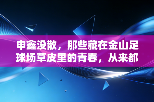 申鑫没散，那些藏在金山足球场草皮里的青春，从来都没退场